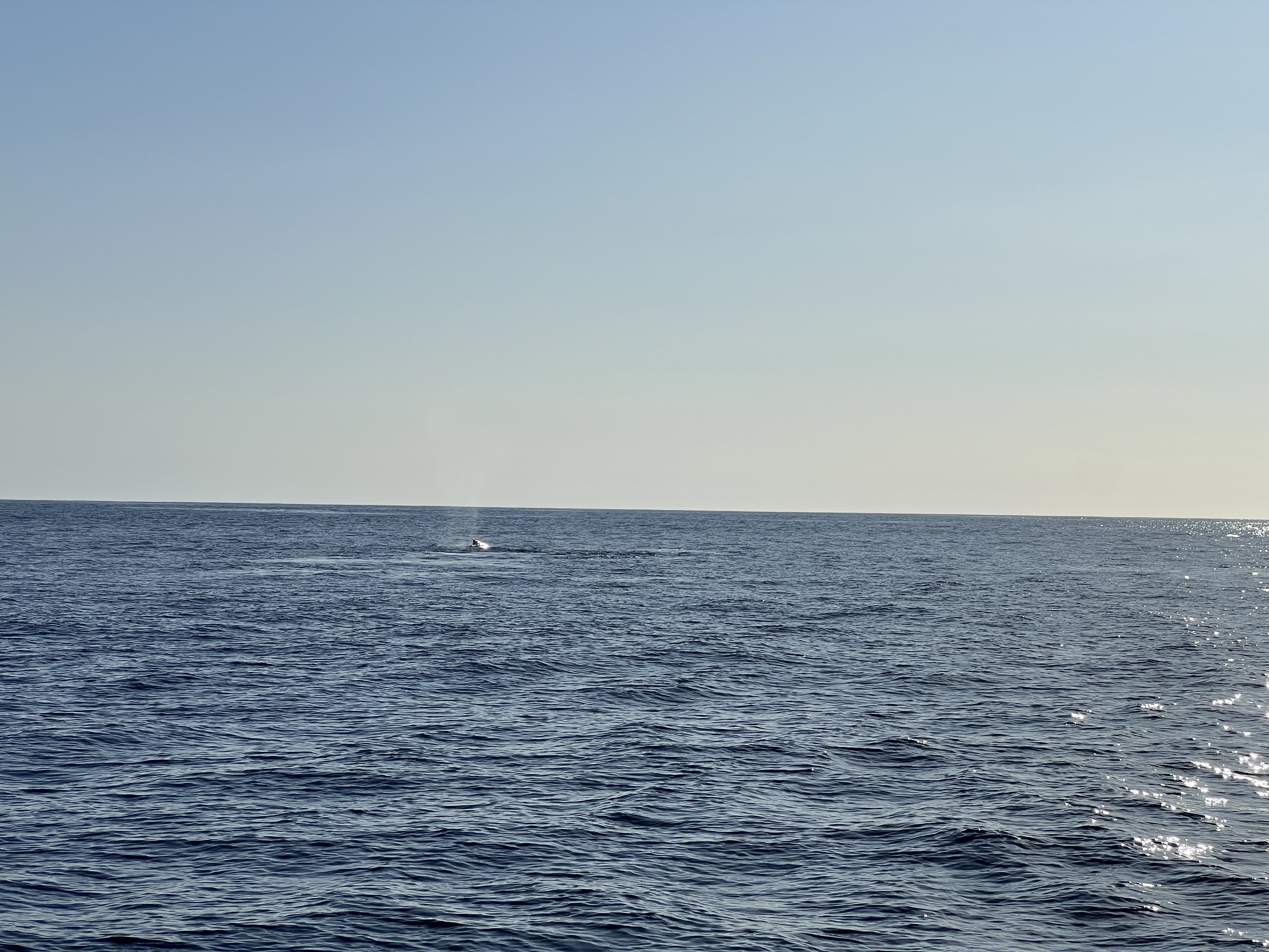 ./2024/13 - Cabo/IMG_4683.jpg